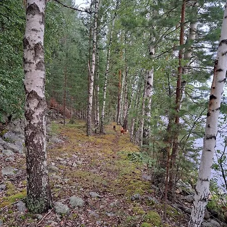 Rantamoekki Naava *